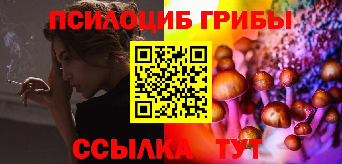 Галлюциногенные грибы GOLDEN TEACHER Черняховск